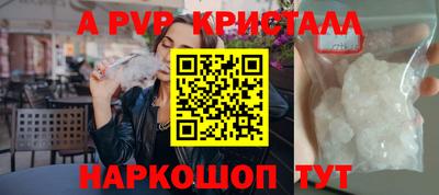 шишки Кингисепп