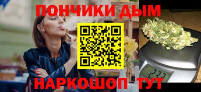 шишки Кингисепп