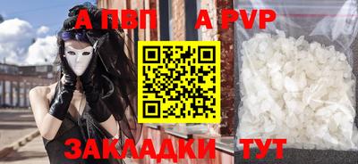 шишки Кингисепп