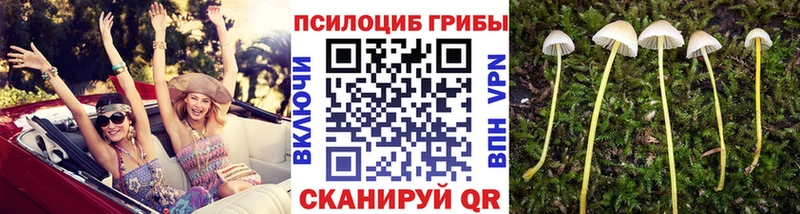 Галлюциногенные грибы мухоморы Оренбург