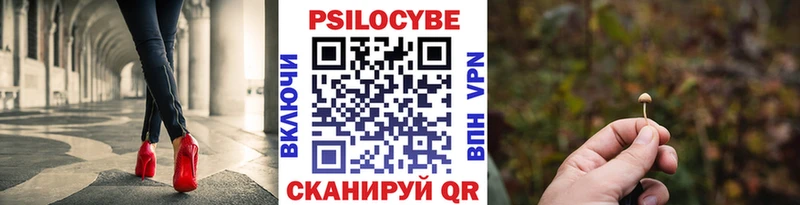 Псилоцибиновые грибы Cubensis  купить  цена  Оренбург 