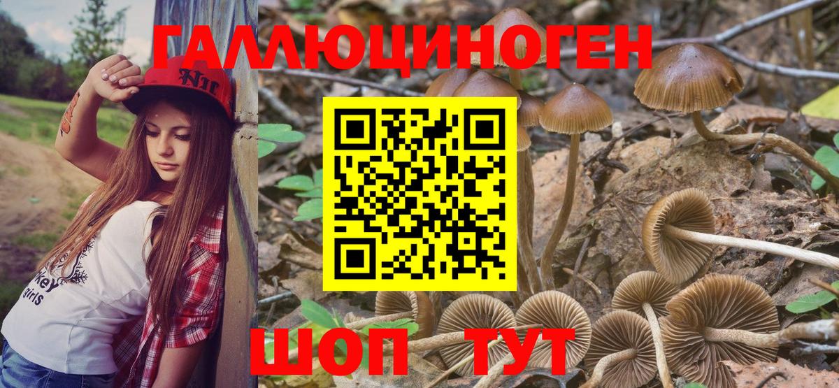 Галлюциногенные грибы прущие грибы  Вход с VPN  Псилоцибиновые грибы Magic Shrooms  Оренбург 